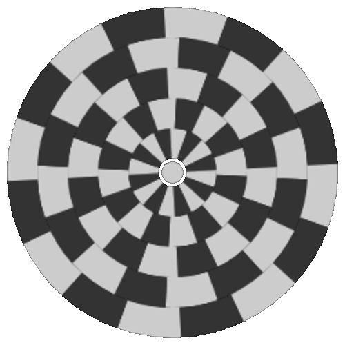 Optical Illusion Spin