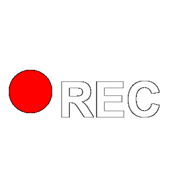 REC Recording Indicator Blinking
