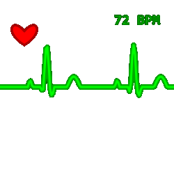 Heart Rate Pulse Line