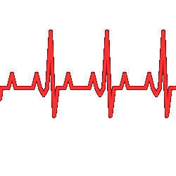 Heartbeat Monitor