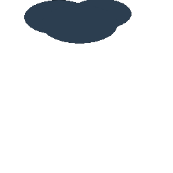 Lightning Bolt Flash