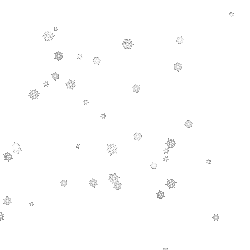 Snow Flakes Gentle