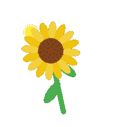 Sunflower Follow Sun